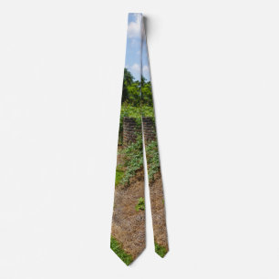 Along The Curved Wall Neck Tie