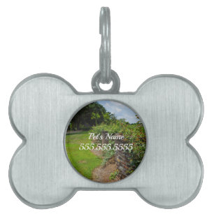 Along The Curved Wall Pet ID Tag