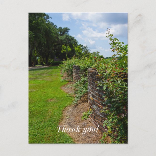 Along The Curved Wall Postcard (Front)