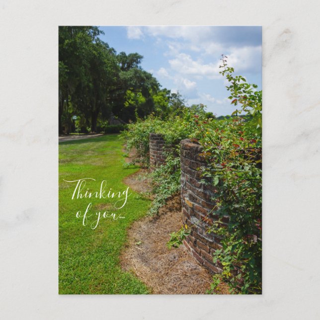 Along The Curved Wall Thinking Of You Postcard (Front)