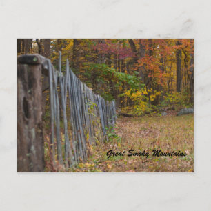 Along The Fence Postcard