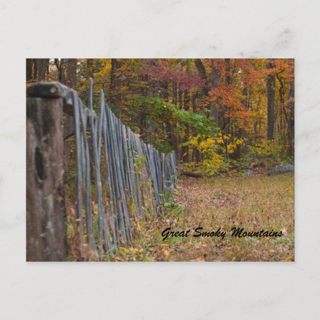 Along The Fence Postcard (Front)