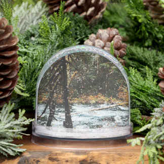 Along the McKenzie River  Snowglobe