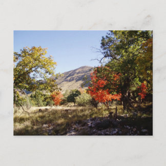 Along the Road - Grassland Postcard