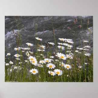 Along the Stream Poster