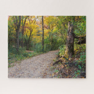 along winding forest trail of lebanon hills jigsaw puzzle