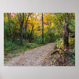 along winding forest trail of lebanon hills poster