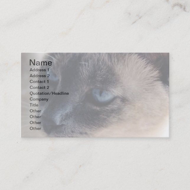 Aloof Siamese Cat Business Card (Front)