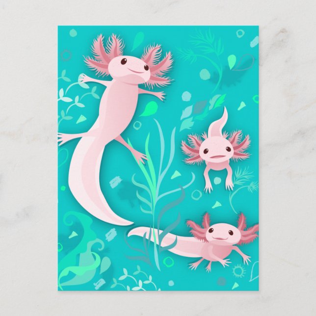 Alotta Axolotls Postcard (Front)