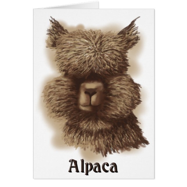 Alpaca (Front)
