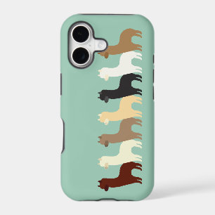 Alpaca