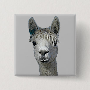 Alpaca 15 Cm Square Badge