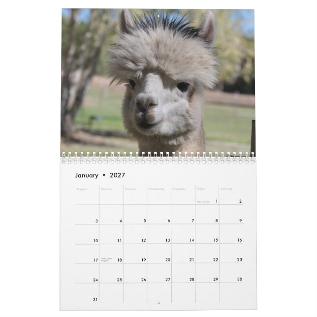 Alpaca 2021 Calendar (Jan 2027)