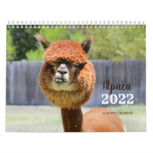 Alpaca 2022 Calendar