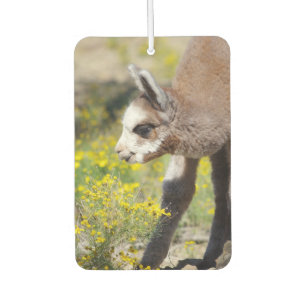 Alpaca Air Freshener Rossi