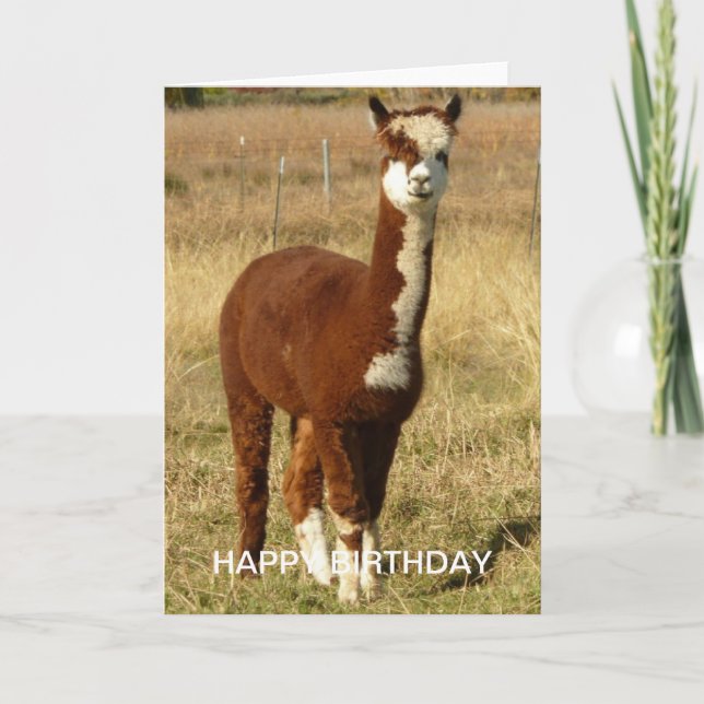 Alpaca Birthday Card (Front)