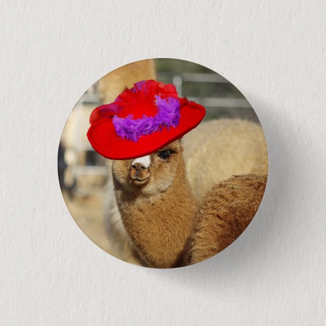 Alpaca Button (Front)