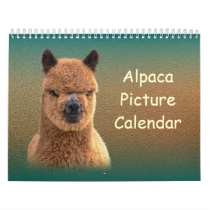 Alpaca Calendar 2019