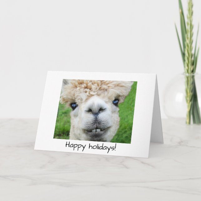 Alpaca Christmas card (Front)