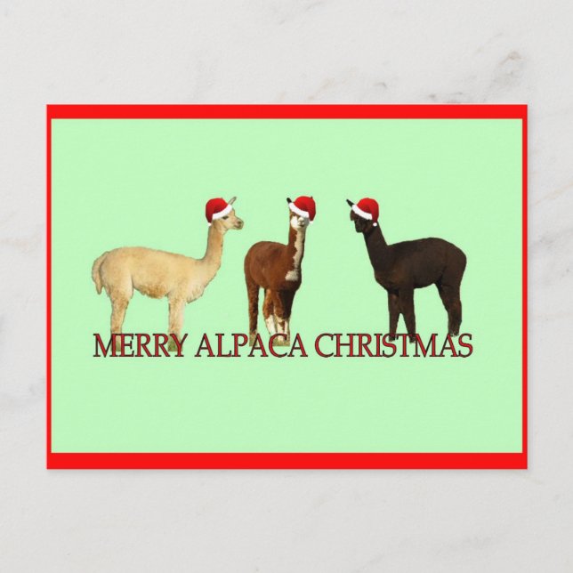Alpaca Christmas Holiday Postcard (Front)