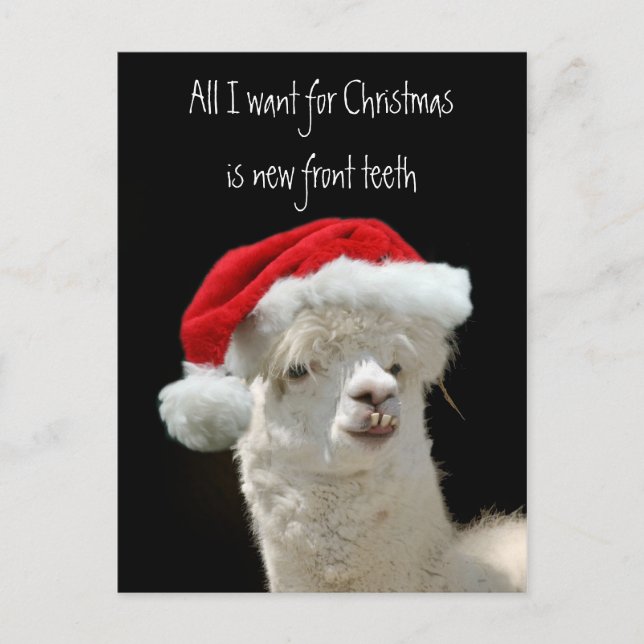 Alpaca Christmas Holiday Postcard (Front)