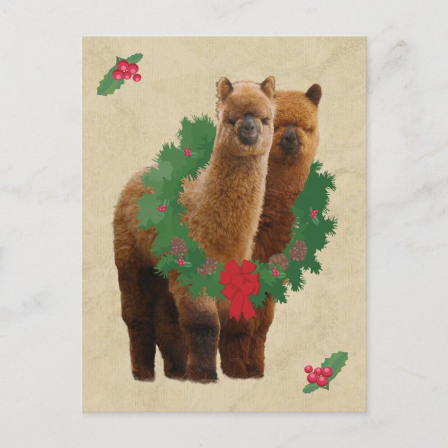 Alpaca Christmas Postcard (Front)