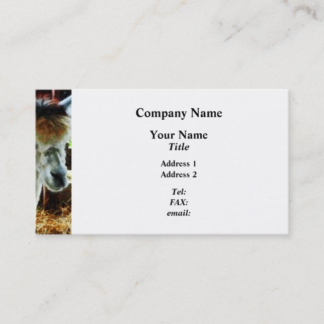 Alpaca Closeup Business Card (Front)