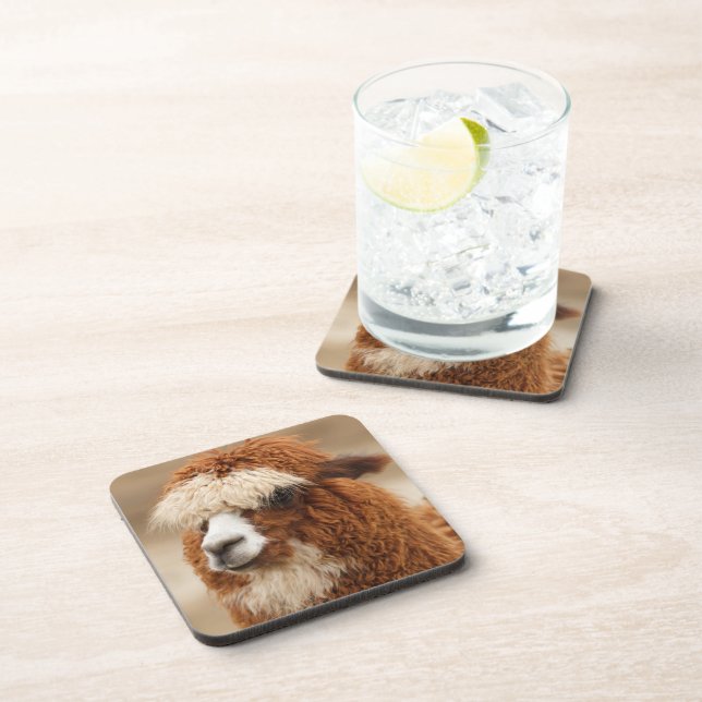 Alpaca coasters (Right Side)