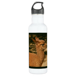 Alpaca Cria - "Papa's Surprise" 710 Ml Water Bottle