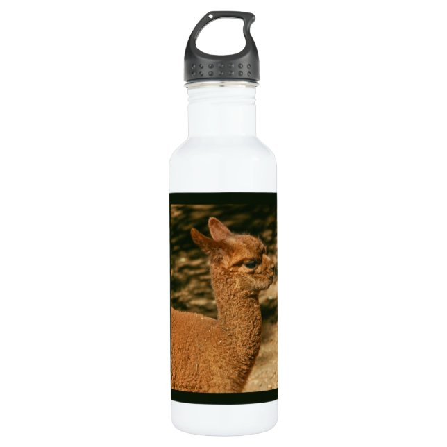 Alpaca Cria - "Papa's Surprise" 710 Ml Water Bottle (Front)