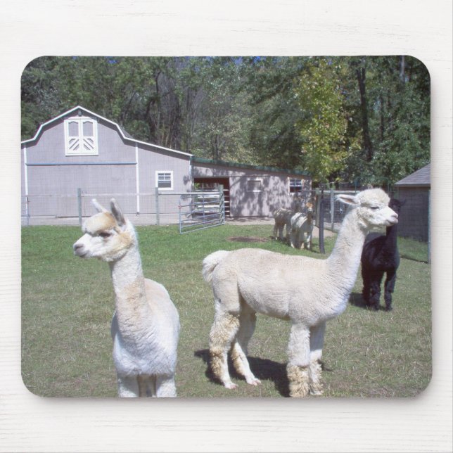 Alpaca Days Mouse Pad (Front)