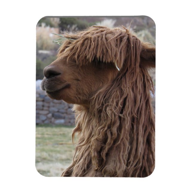 ALPACA FLEXIBLE MAGNET (Vertical)