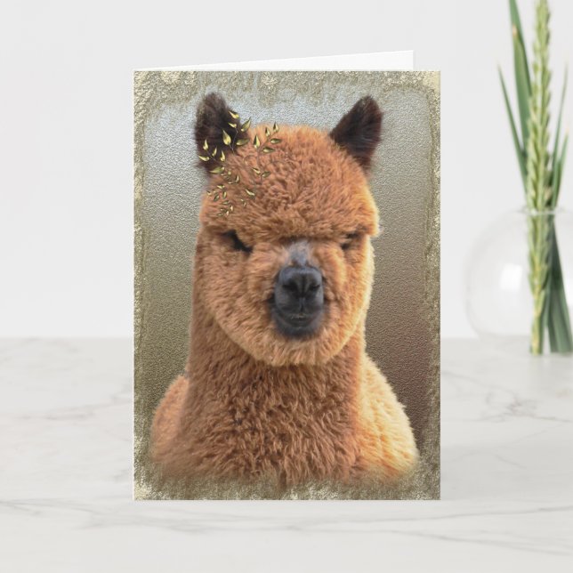 Alpaca Holiday Card (Front)