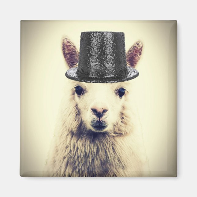 Alpaca in a Tophat Magnet (Front)