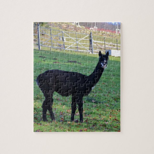 Alpaca Jigsaw Puzzle (Vertical)