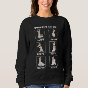 Alpaca Lama Fans  Current Mood Always Happy Sixpac Sweatshirt