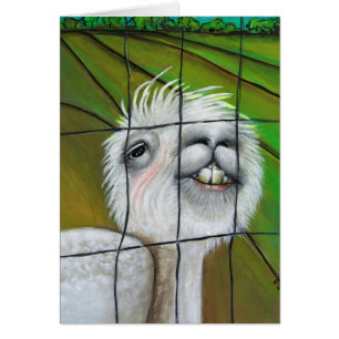 Alpaca - Little Dreamer with story card