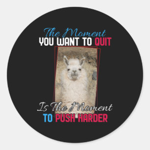 Alpaca Llama -  Push Harder Encouragement  Classic Round Sticker