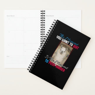 Alpaca Llama -  Push Harder Encouragement  Planner