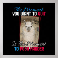 Alpaca Llama -  Push Harder Encouragement 