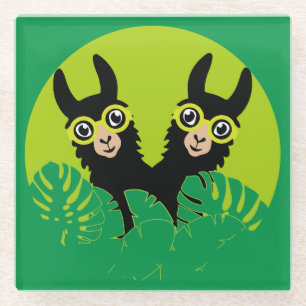 Alpaca llama Twins Glass Coaster