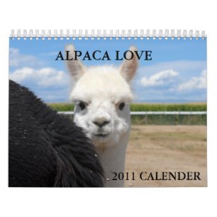 ALPACA LOVE 2011 CALENDER CALENDAR
