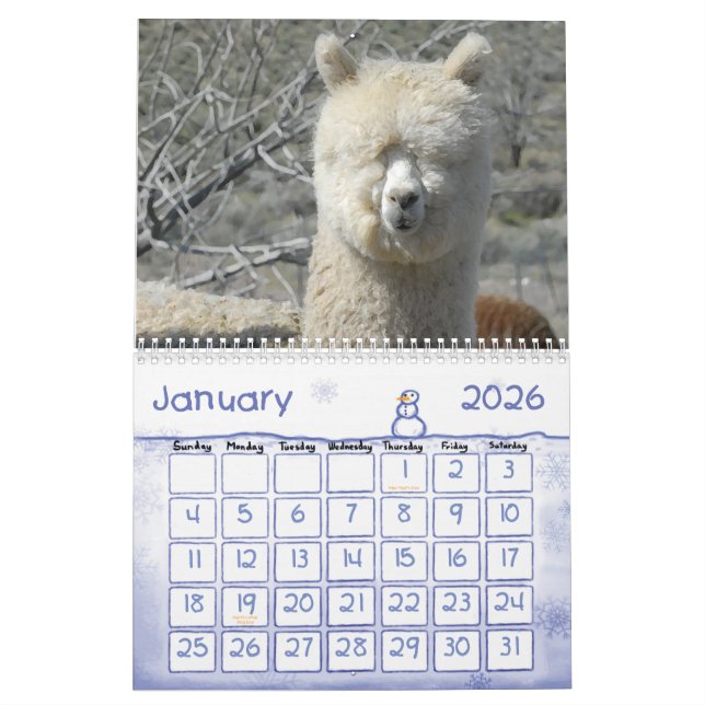 ALPACA LOVE 2011 CALENDER CALENDAR (Jan 2026)