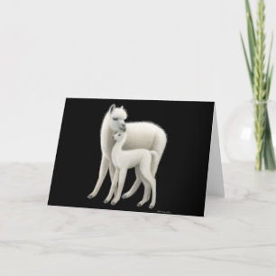 Alpaca Love Greeting Card