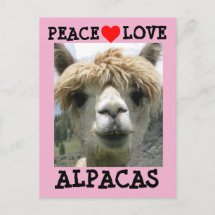 ALPACA LOVE POSTCARDS