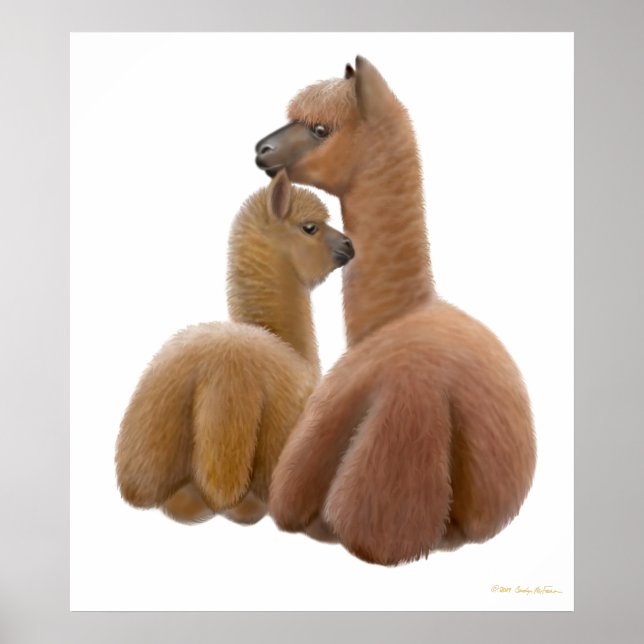 Alpaca Love Print (Front)