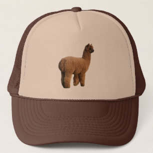 Alpaca Magic Cap