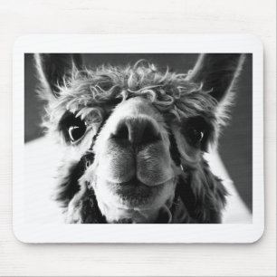 Alpaca Mouse Pad