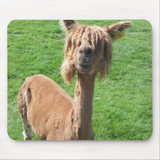 Alpaca Mouse Pad