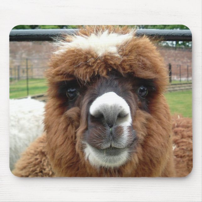 Alpaca Mouse Pad (Front)